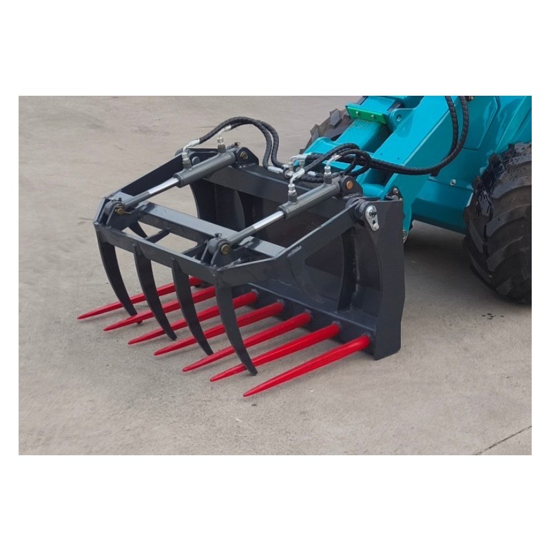 Griffon euopéen CRM625